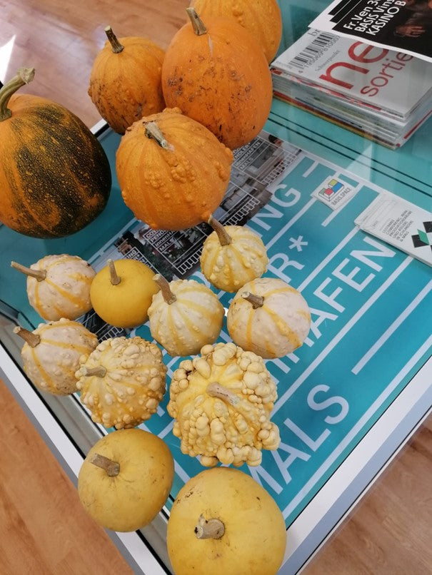 Workshop für Kinder: Herbstdekoration mit Kürbissen