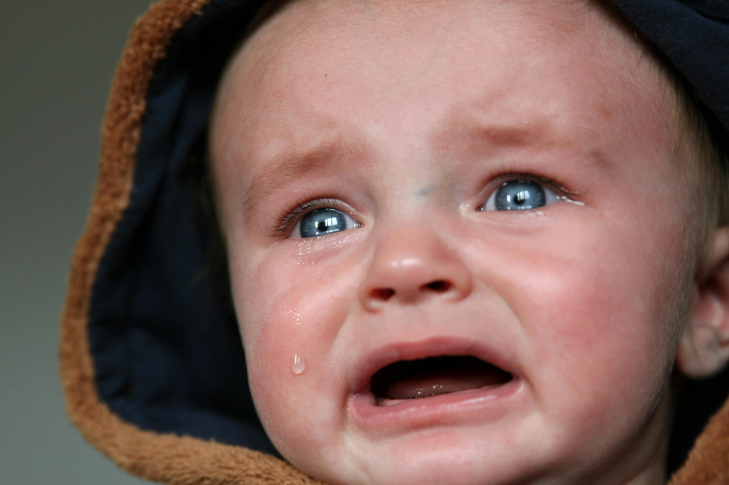 Vortrag/Workshop: Keine Angst vor Babytränen - Warum weinen Babys
