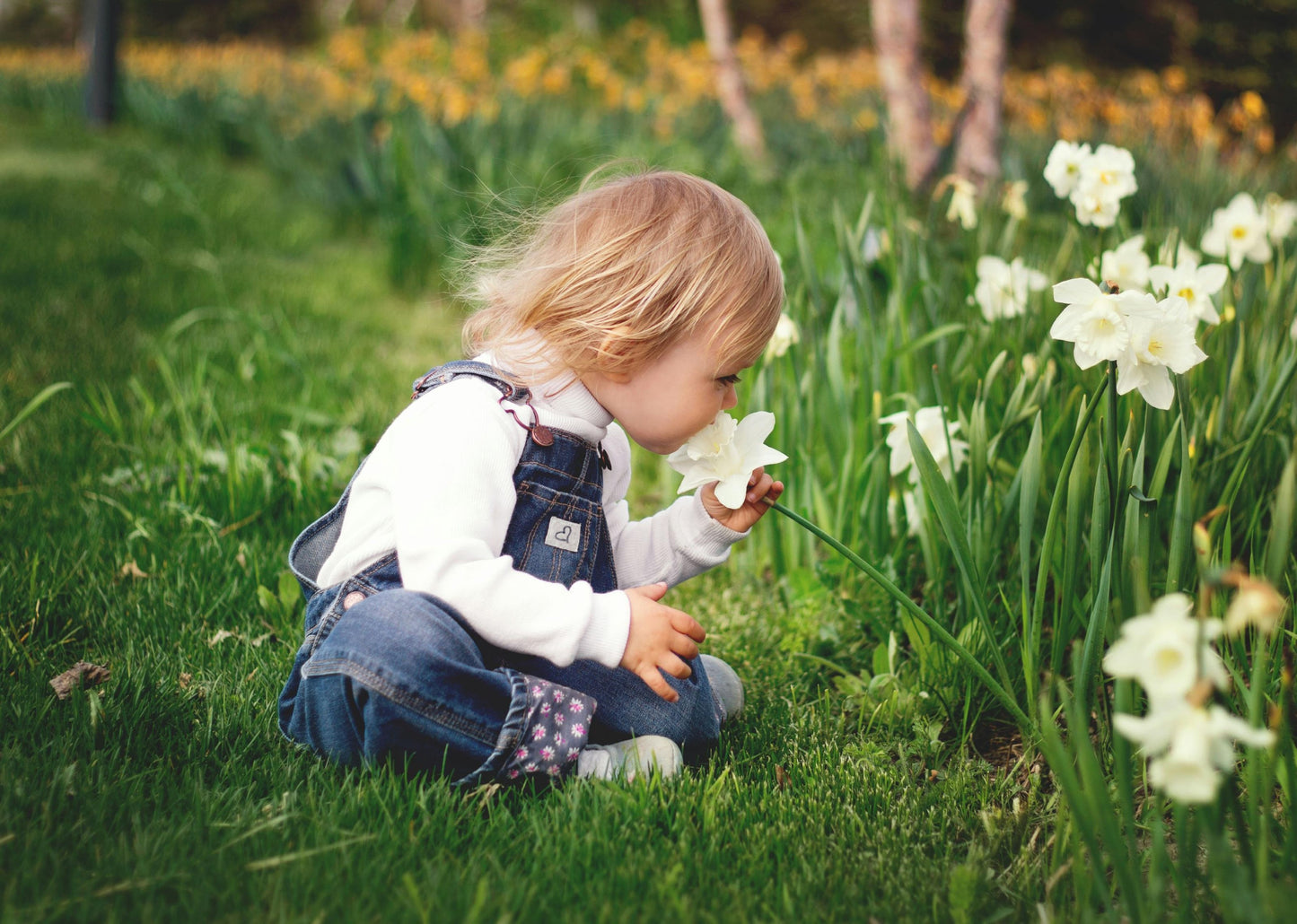 Die fünf Sinne erleben und entdecken