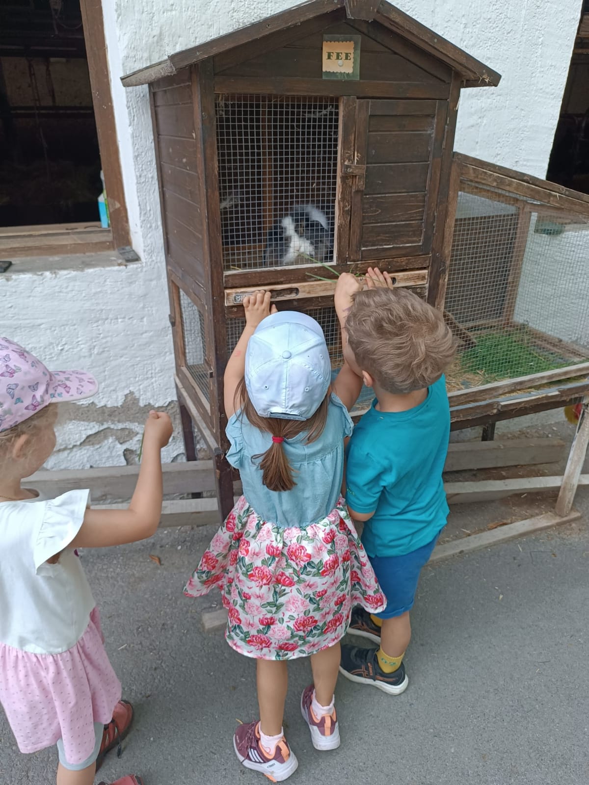 Themen-Nachmittag im ELKI Mals - Besuch auf dem Bauernhof