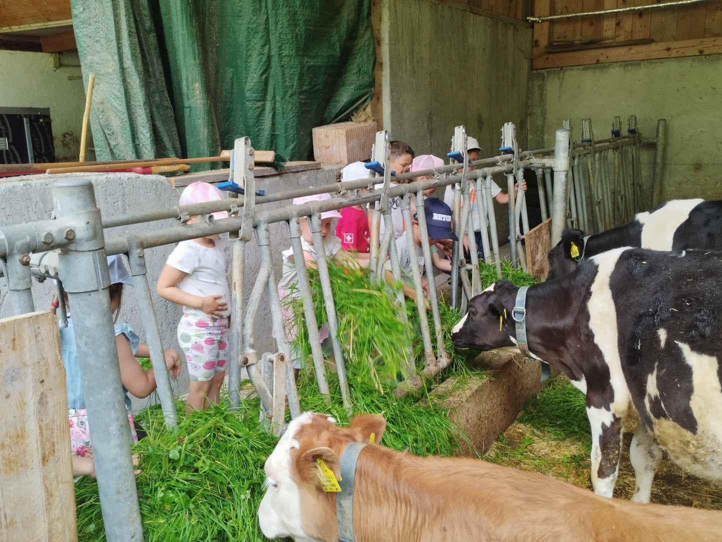 Themen-Nachmittag im ELKI Mals - Besuch auf dem Bauernhof