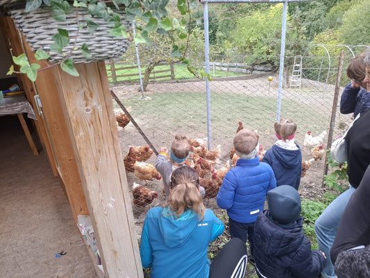 Das ELKI zu Besuch auf dem Bauernhof in Schleis
