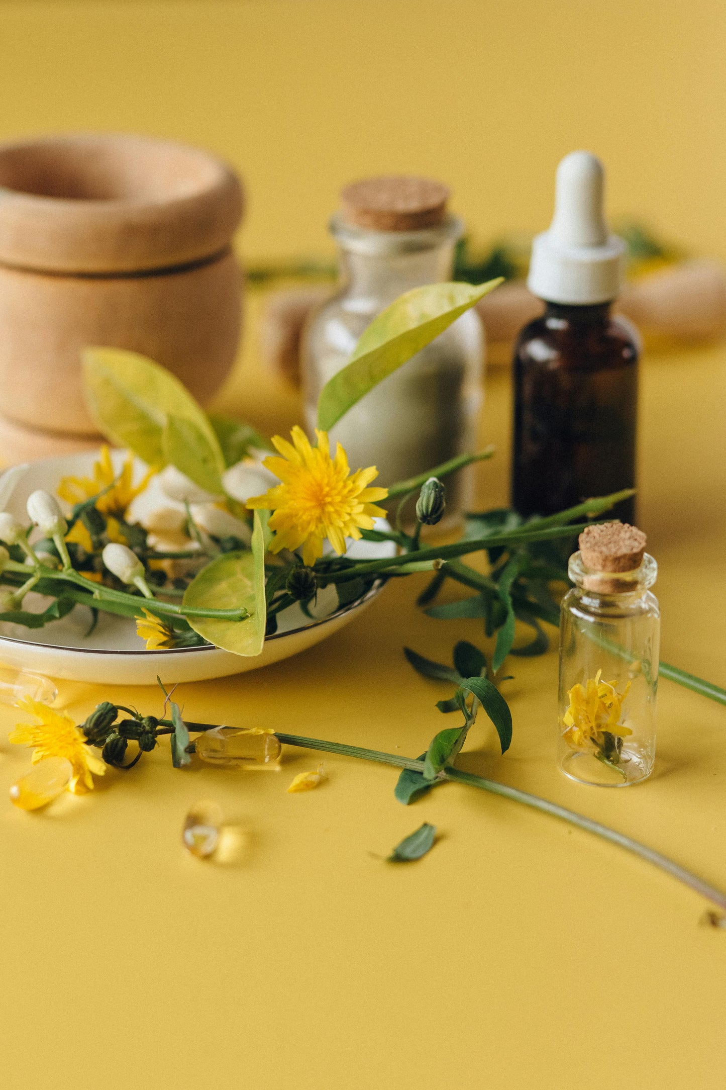 Webinar: Die Kräuterapotheke für mein Kind