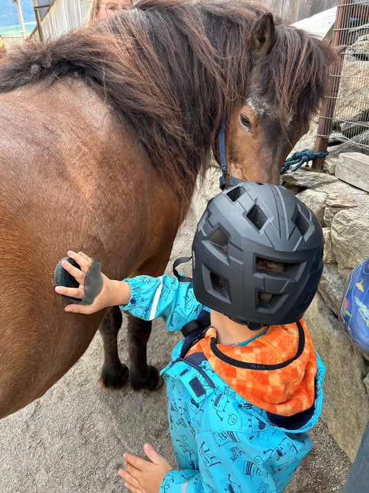 ELKI Familienzeit mit Pferd und Esel auf dem Korngütlhof