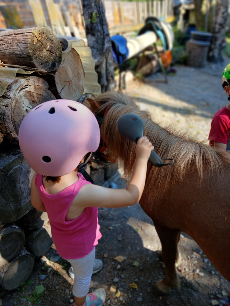 Geführtes Ponyreiten auf der Sold River Ranch in Prad