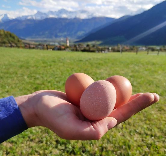 Das ELKI zu Besuch bei den Obervinschger Wanderhennen